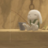 Cave Fisher