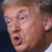 The Real Donald Trump™