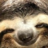 Graysum