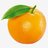 Photo of an orange