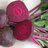 beets4borshenko