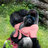 Mountain Gorilla
