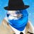 Undercover Dolphin