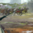 trickyzerg23