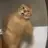 Peetza