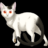 Nekomata12
