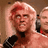 Ric Flair