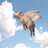 Swine Flew