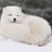 ArcticFox