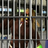 Xavier Renegade Angel