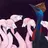 cassowary lover