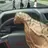 God's drunkest driver