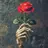 RosesAreRed