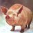 Pigface