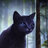 Bluestar