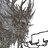 Not A Skinwalker