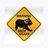 Cleric Drop Bear