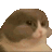 Cat Milk