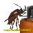 AttilaIsTurk