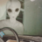 Alien Abductor