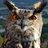 Bubo bubo bubo