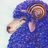 Technicolor_Sheep