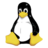 The LintuX dude