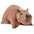 CapybaraCapybuddy