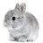 NJRabbit