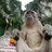 Buck Broken Chimp
