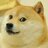 Echo_Doge