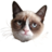 PieceofShet