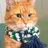 Peaches the Wonder Cat