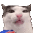 Barsik