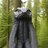 Oregon Ash Toucher