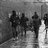 FreedomFighter1972