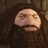 Hagrid2