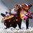 flamboyant cuttlefish