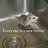 ratatouille
