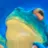 Wendyverse Enjoyer