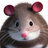 Mouse Rat