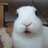 Rabbit Dance