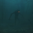 LurkingExtraordinaire