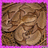 Agkistrodon contortrix