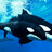 freeorcas778892