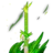 Blade of Grass