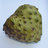 cherimoya