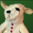 Lambchops