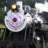 Trainssexual