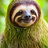 SlimySloth